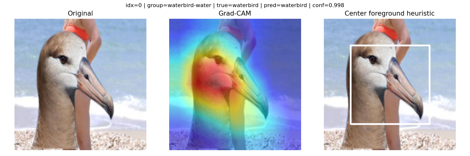 Majority case: waterbird on water. Saliency overlaps the bird; background and foreground both look 'consistent'.