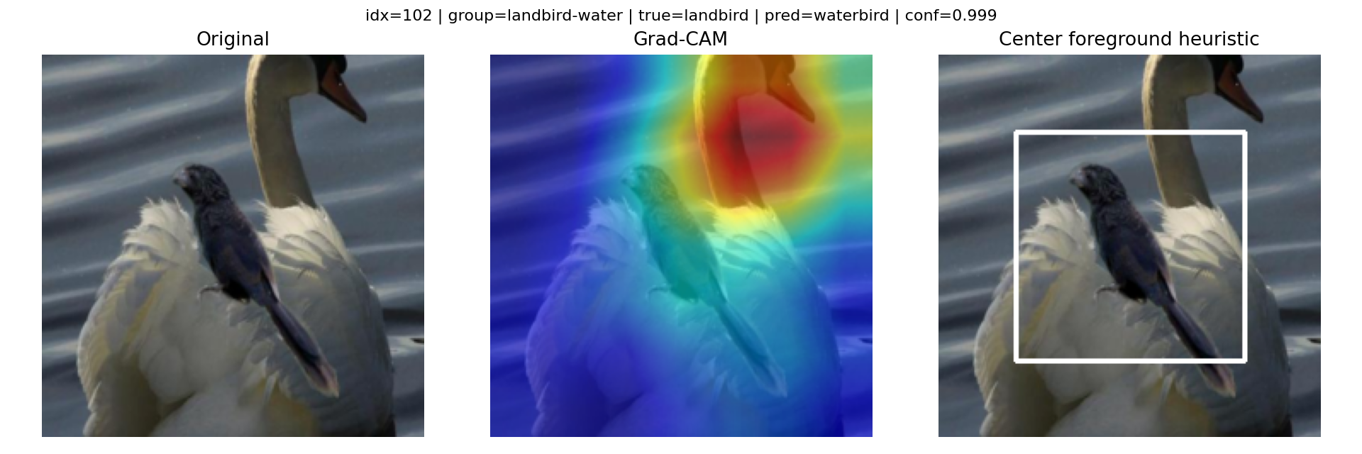 Shortcut failure: landbird on water becomes 'waterbird'. Saliency drifts toward the water background.