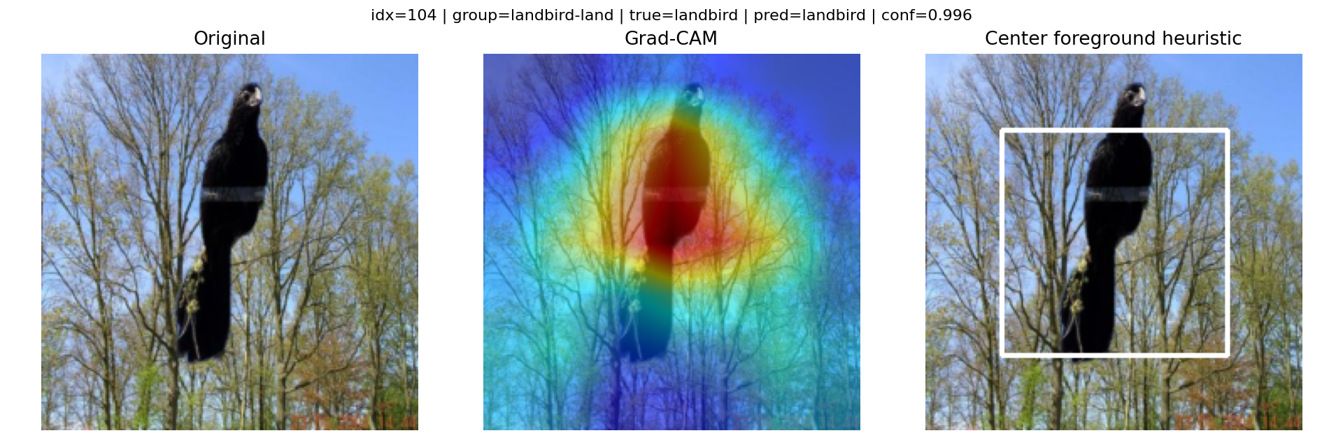 Landbird majority case.