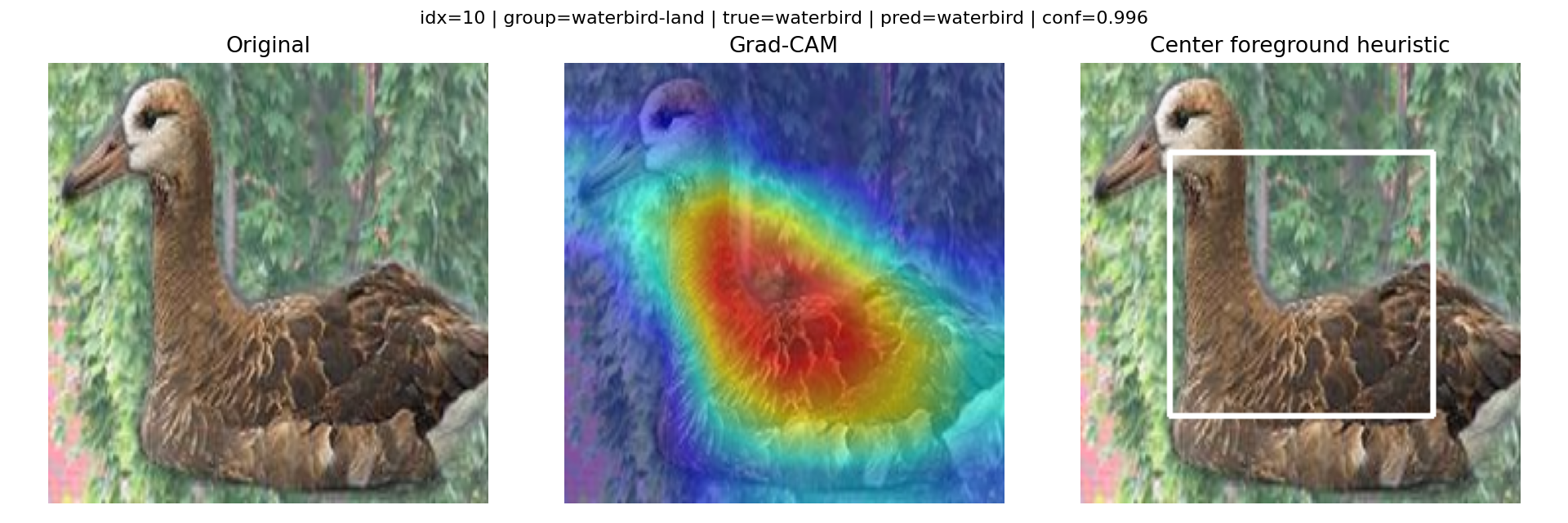 Conflict group success: a waterbird on land where the model still found the bird.