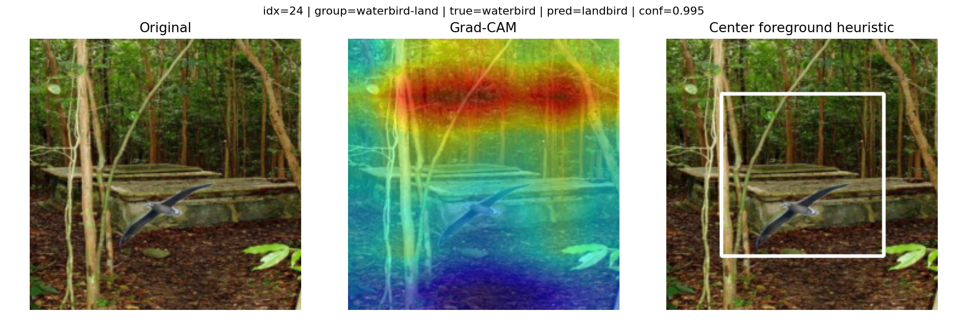 Another waterbird-on-land failure — strong evidence the background is steering the prediction.